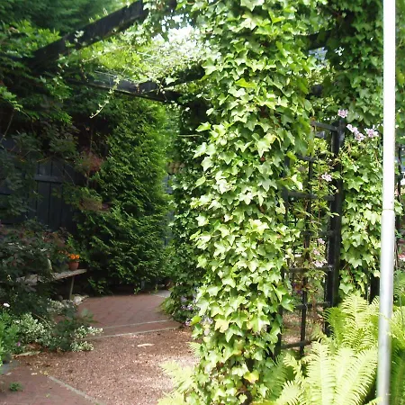 Noordwester 45 Den Burg