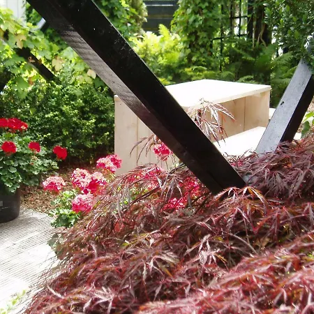 Noordwester 45 Pensionat